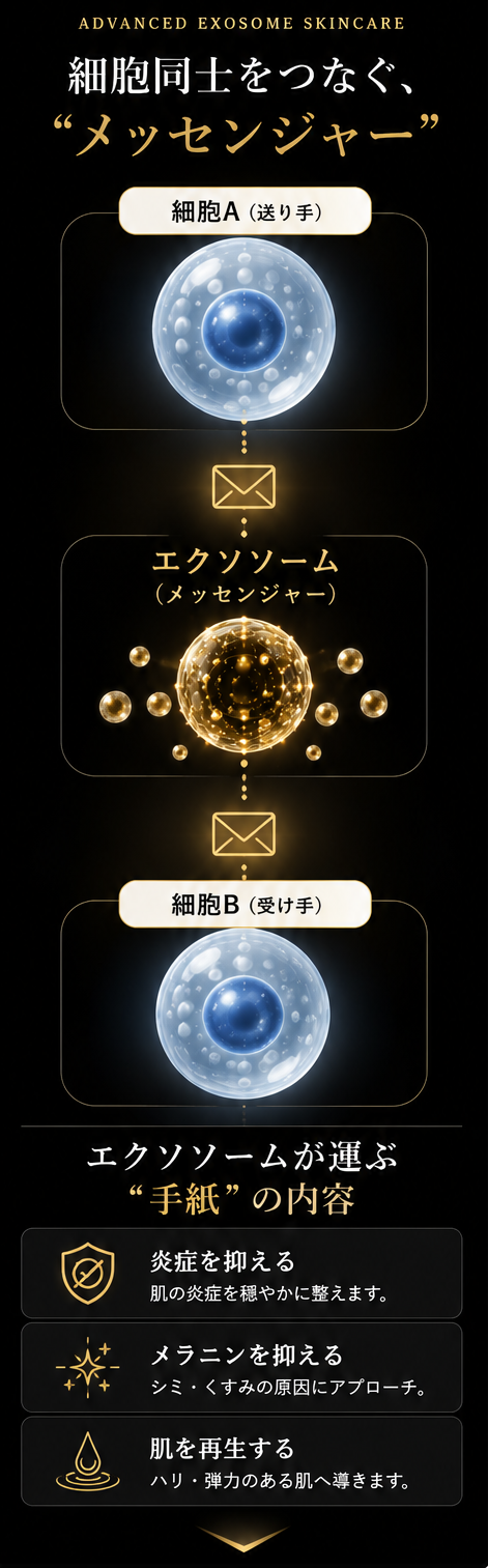 エクソソームとは？