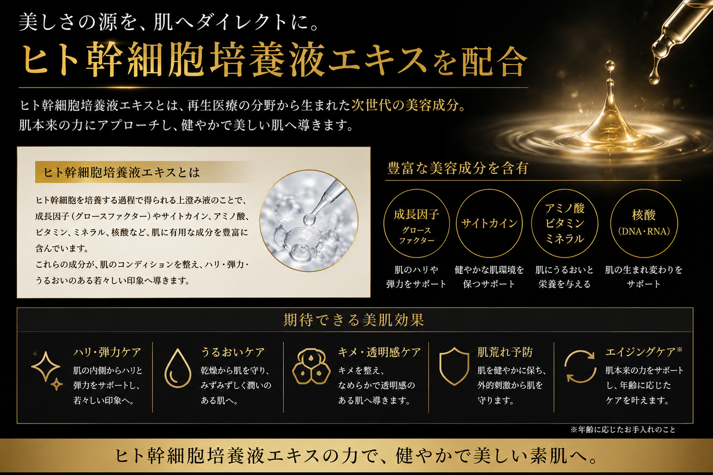 エクソソーム×ヒト幹細胞培養液配合シートマスク｜FSV and eXRA – renova-s
