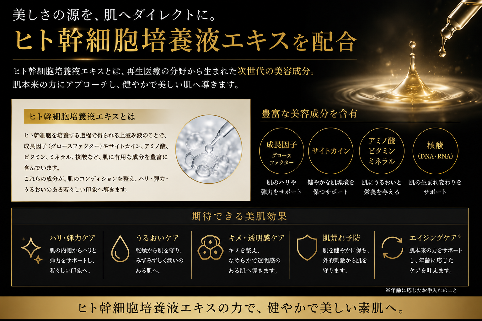 エクソソーム×ヒト幹細胞培養液配合シートマスク｜FSV and eXRA – renova-s