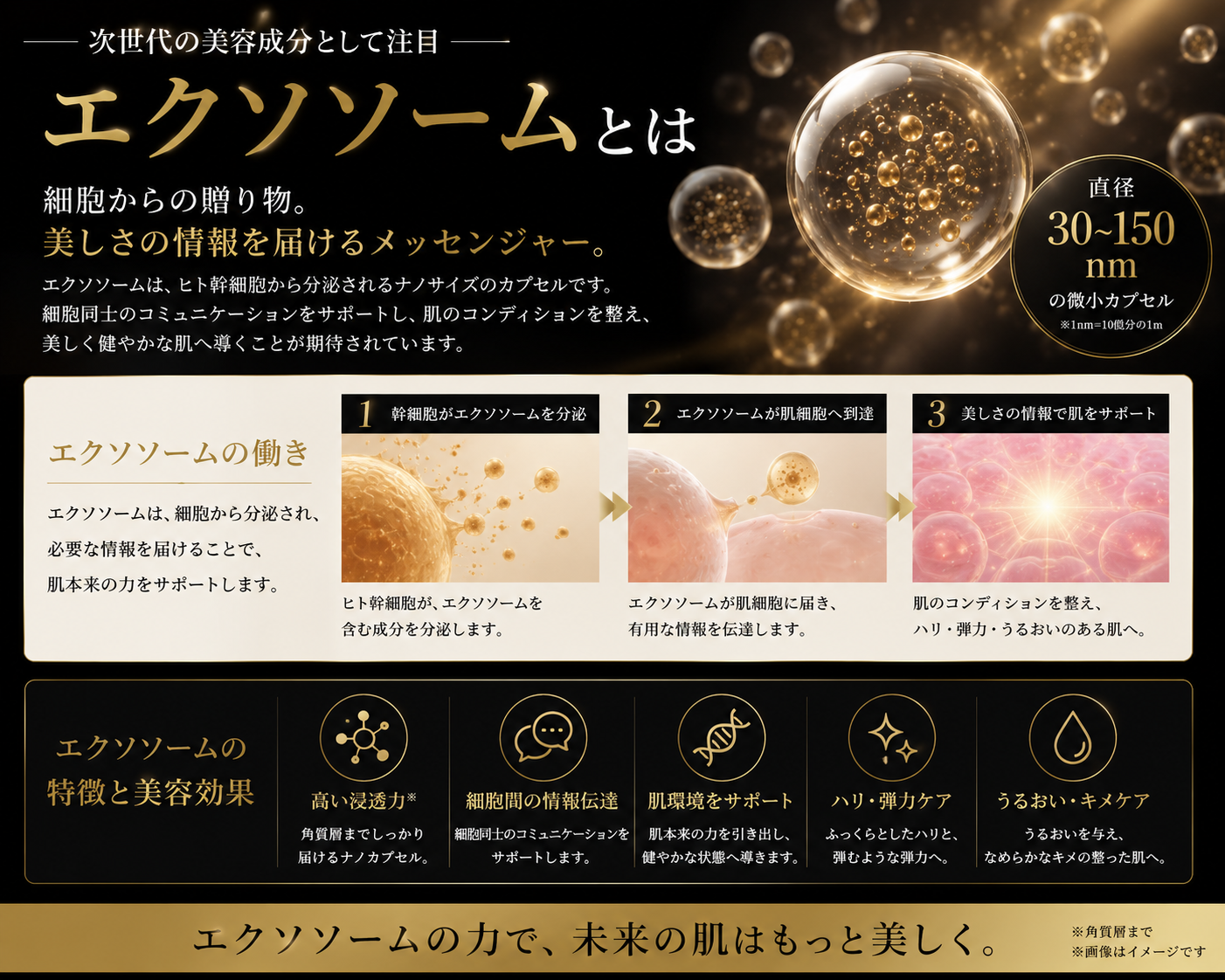 エクソソーム×ヒト幹細胞培養液配合シートマスク｜FSV and eXRA – renova-s
